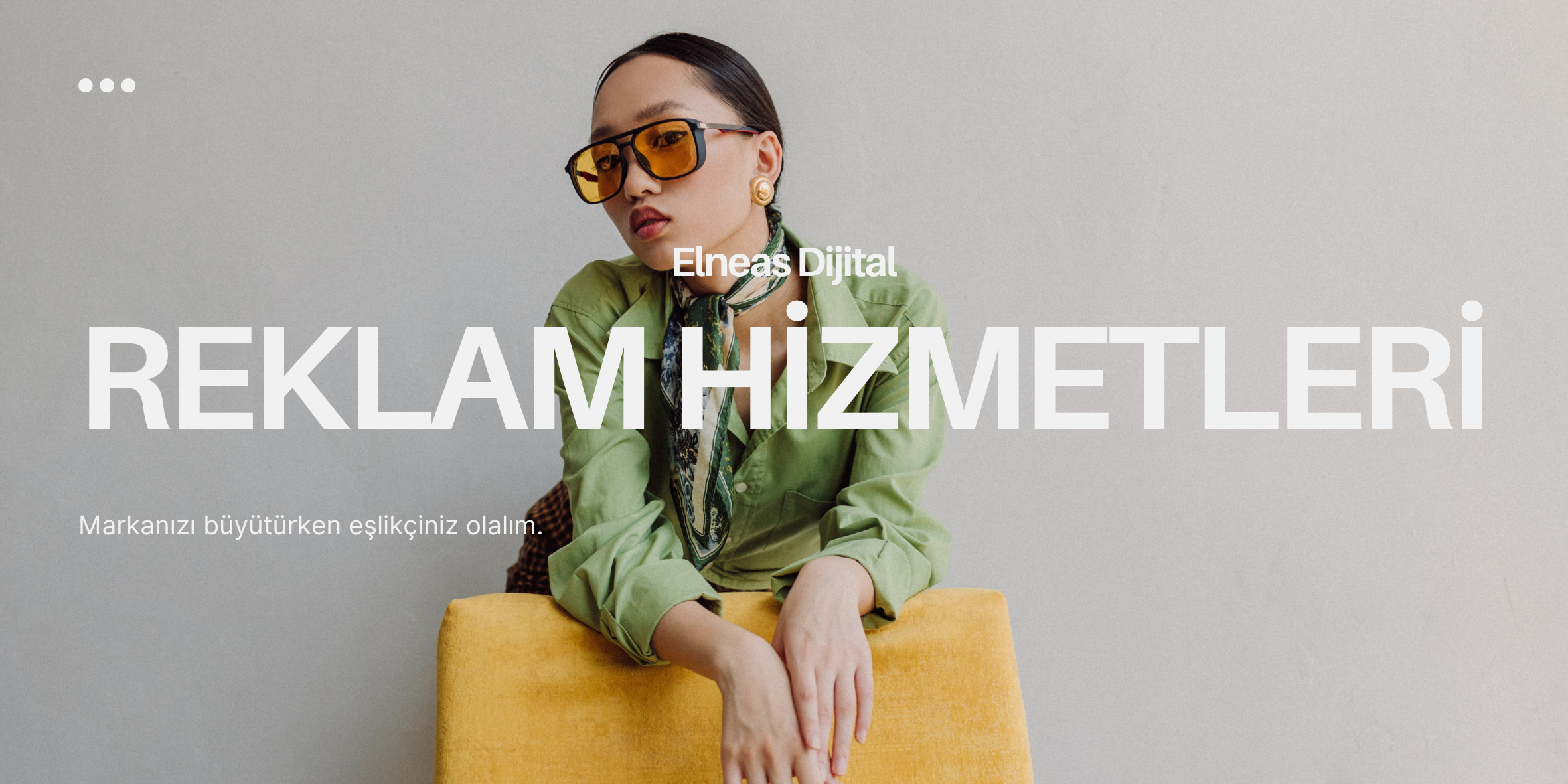 Elneas Digital Banner